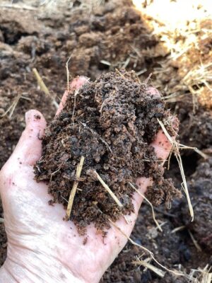 a handful of rich dark soil