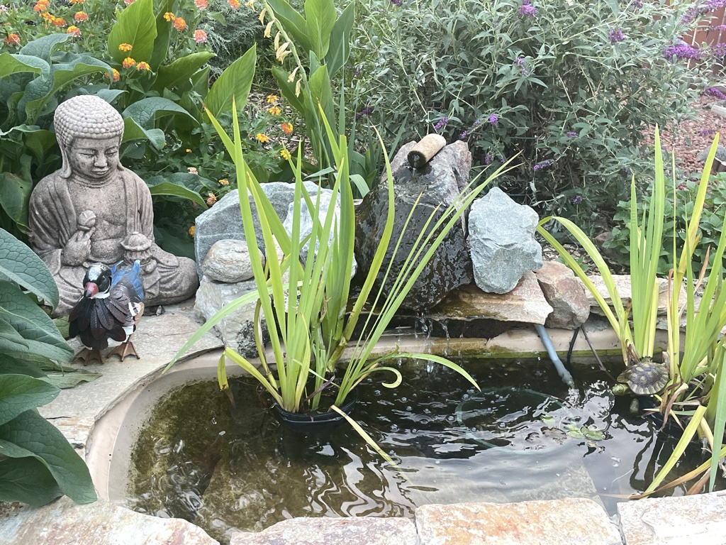 A small pond made from the old bathtub